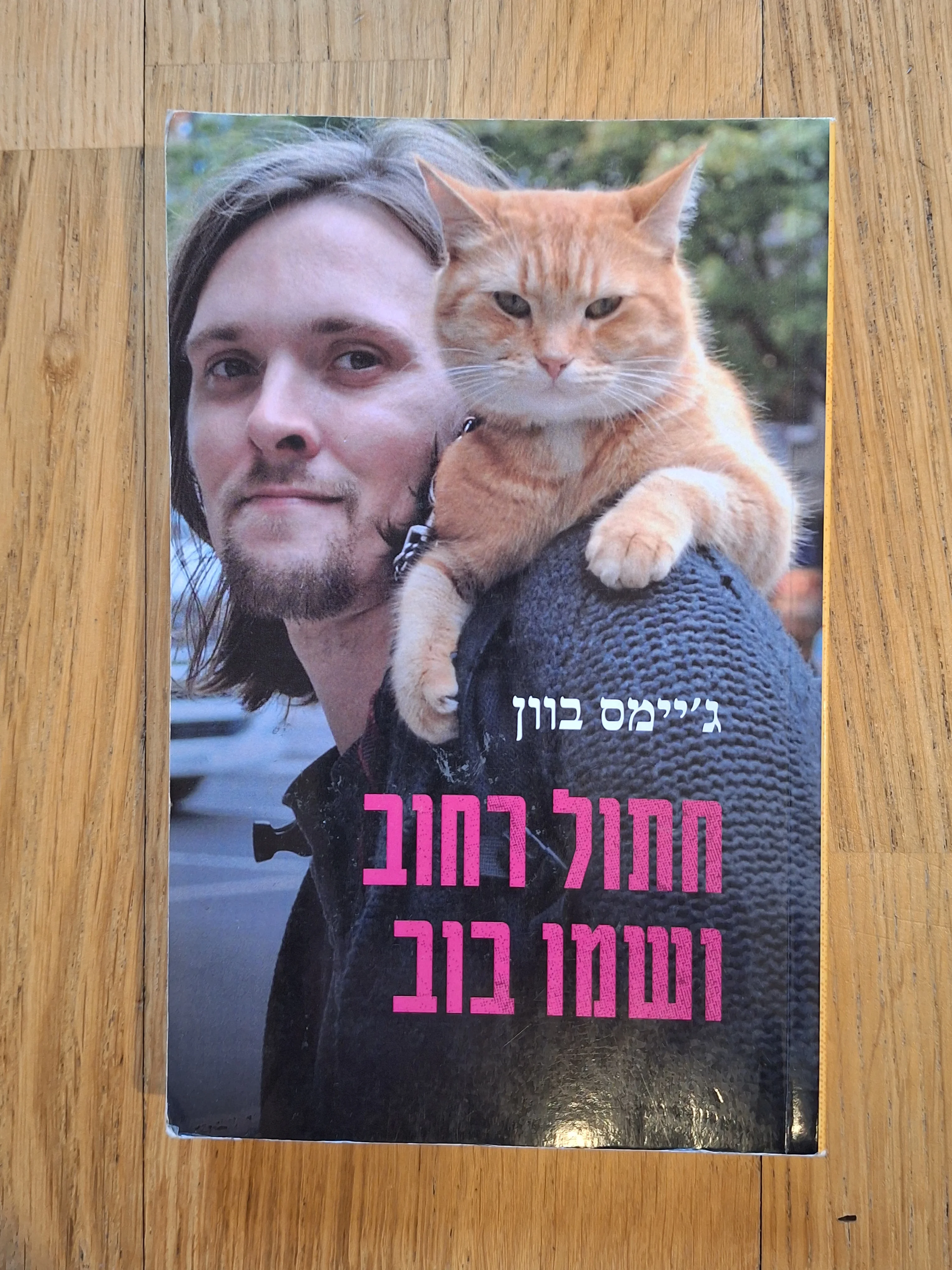 חתול רחוב ושמו בוב