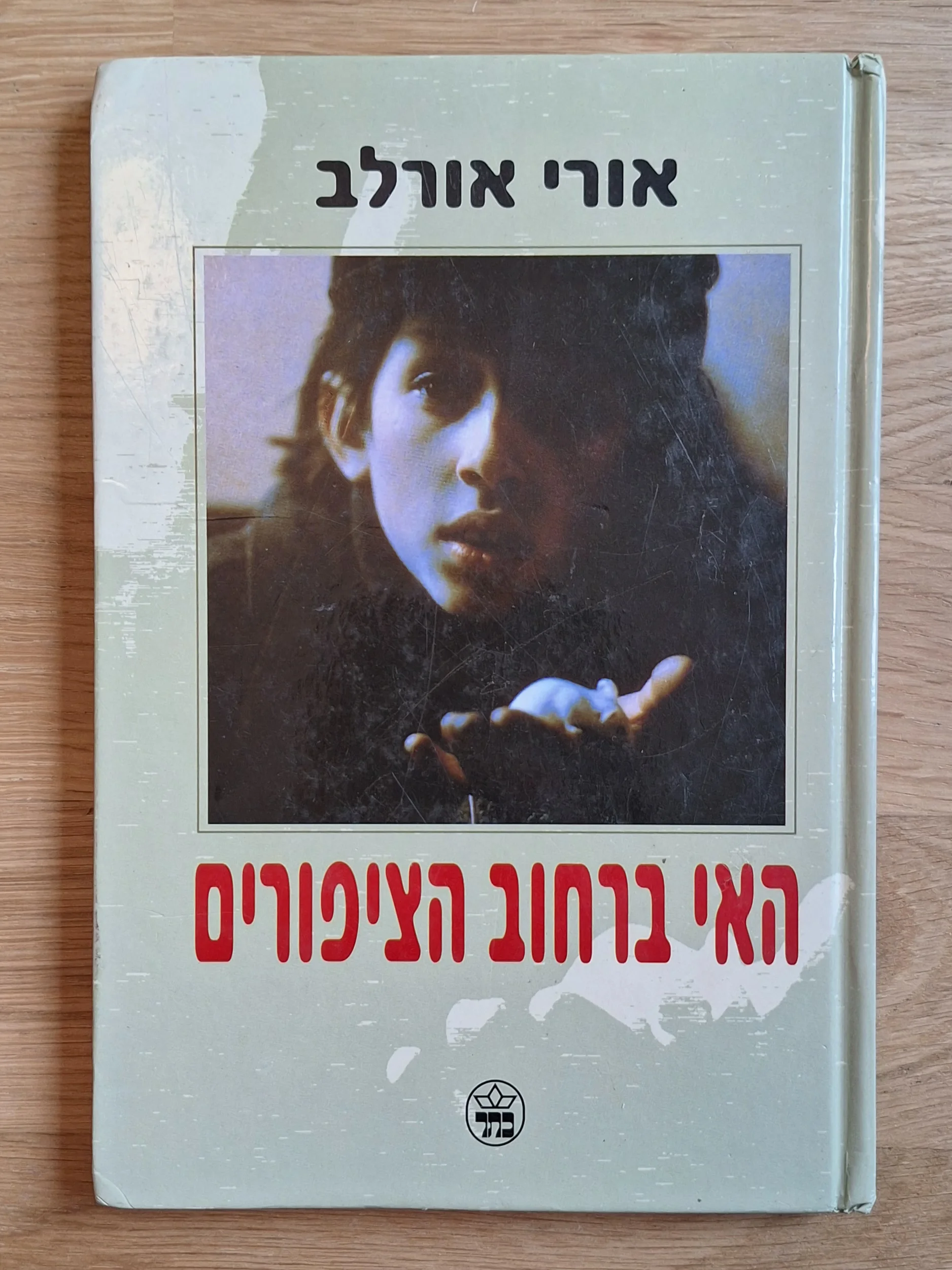האי ברחוב הציפורים